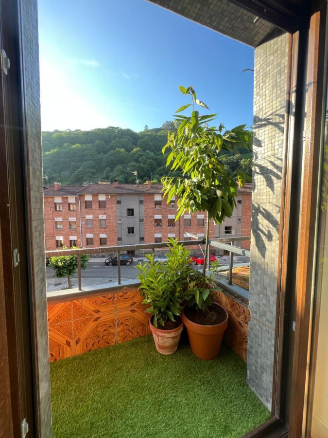 Mountain View Apartment Mieres  Luaran gambar