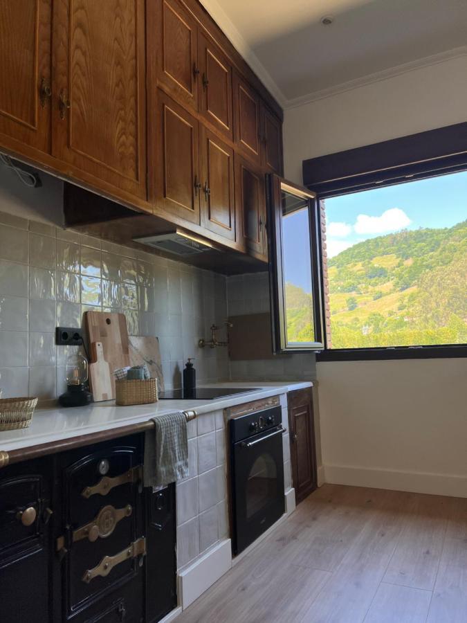 Mountain View Apartment Mieres  Luaran gambar