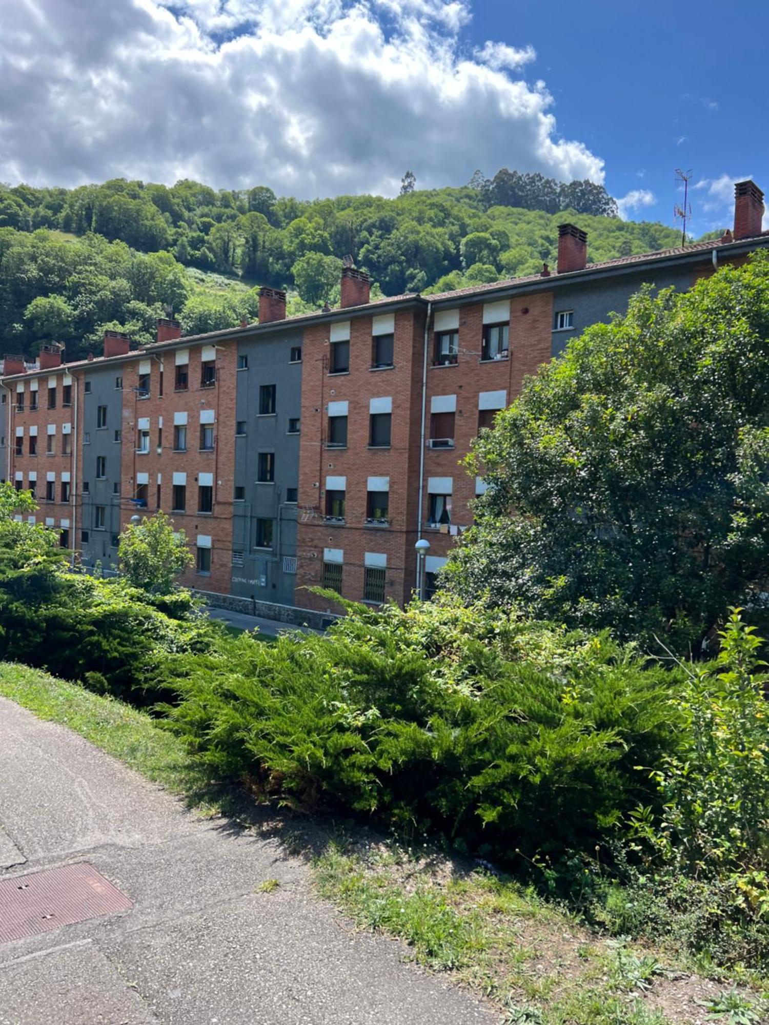 Mountain View Apartment Mieres  Luaran gambar