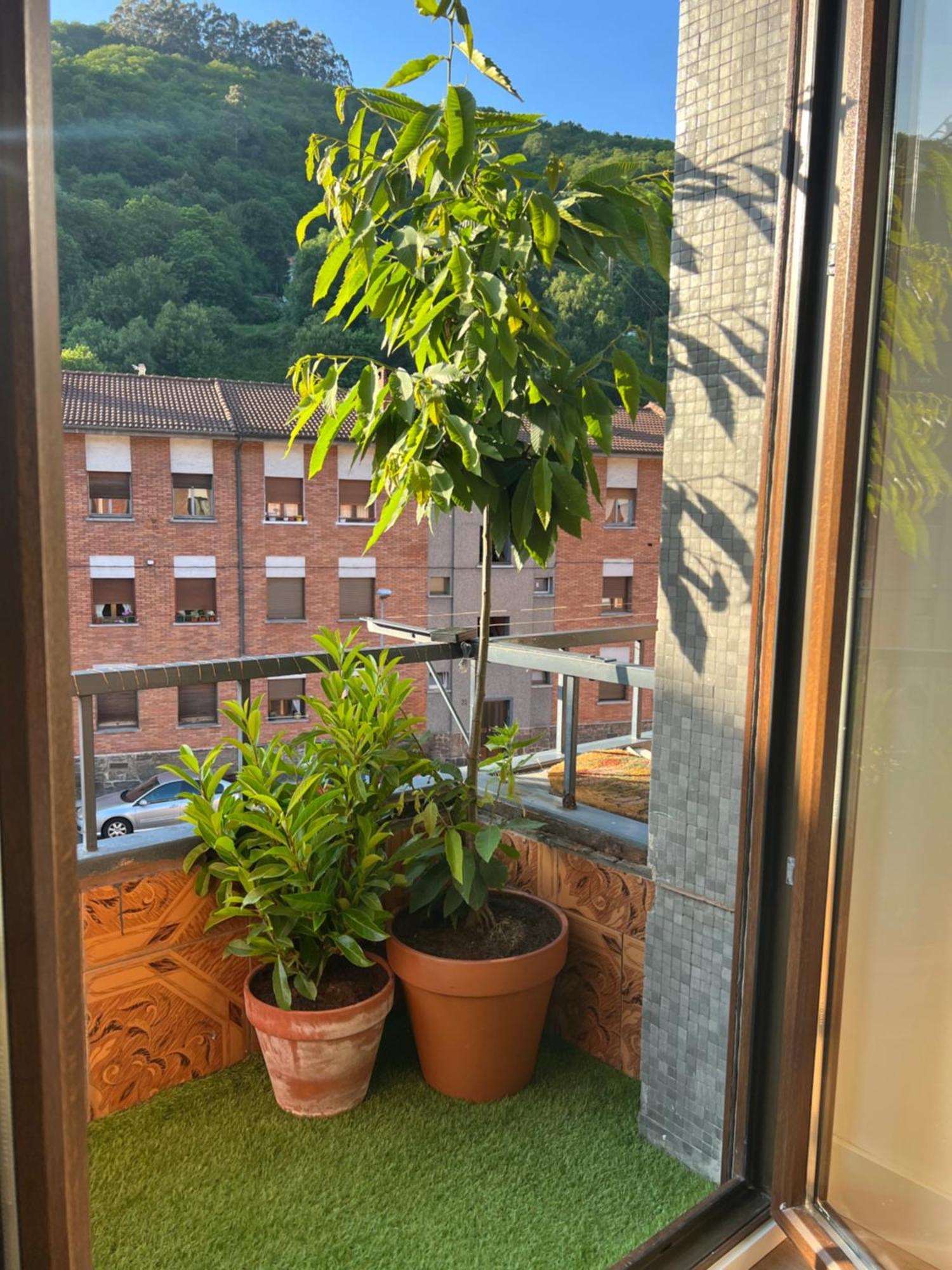 Mountain View Apartment Mieres  Luaran gambar
